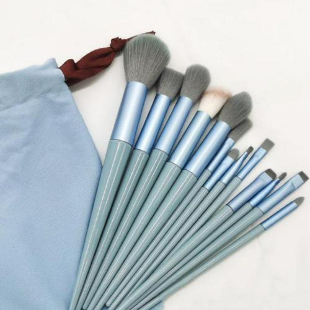 13 pcs Makeup Brushes + FREE Case
