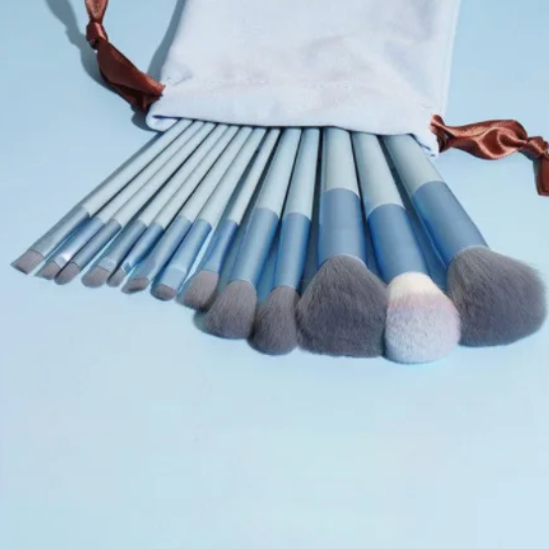 13 pcs Makeup Brushes + FREE Case