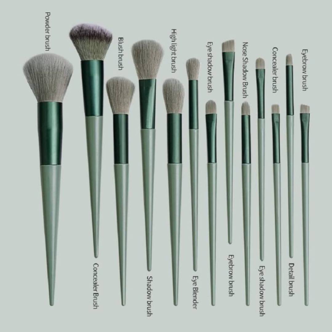 13 pcs Makeup Brushes + FREE Case