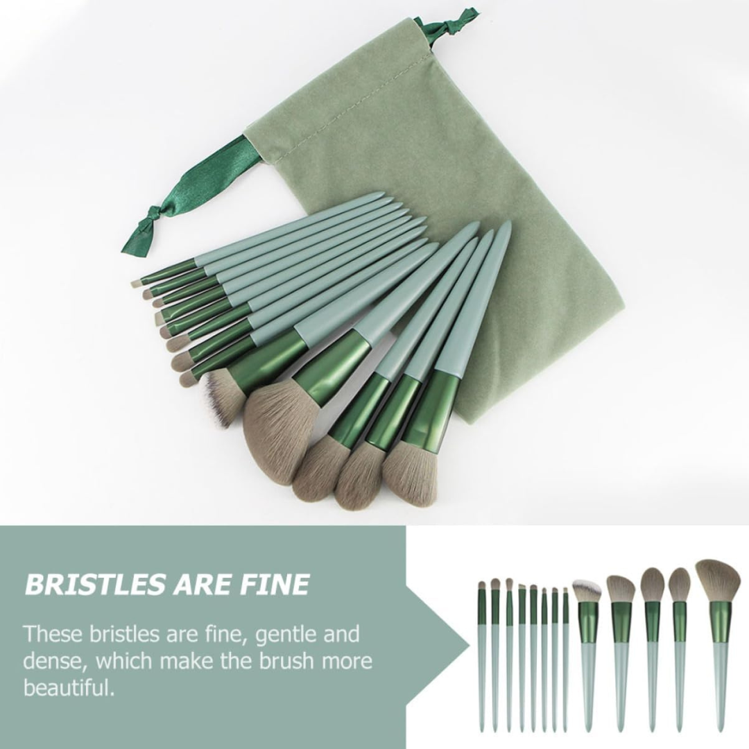 13 pcs Makeup Brushes + FREE Case