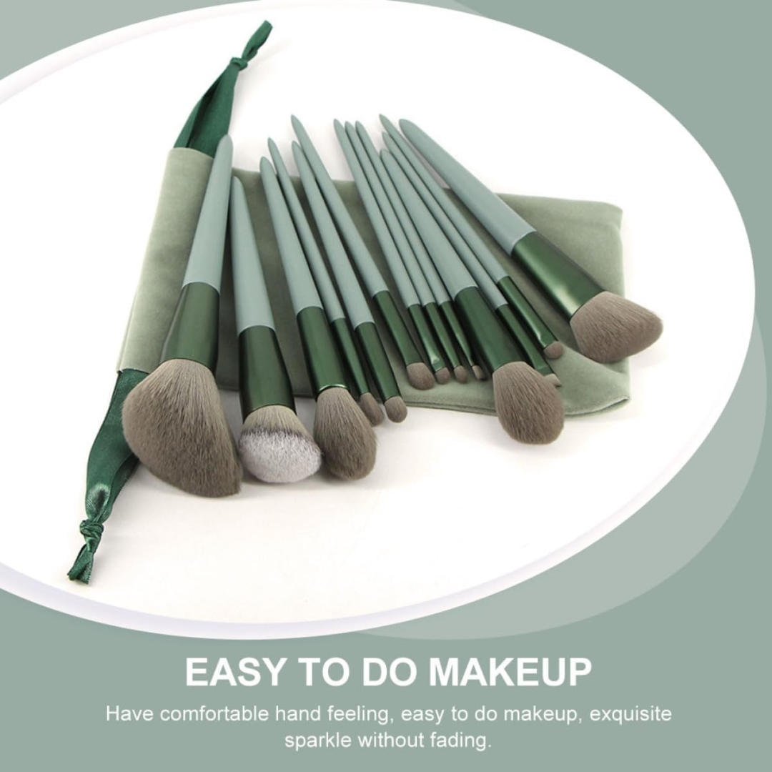 13 pcs Makeup Brushes + FREE Case