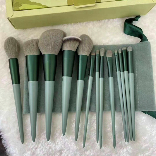 13 pcs Makeup Brushes + FREE Case